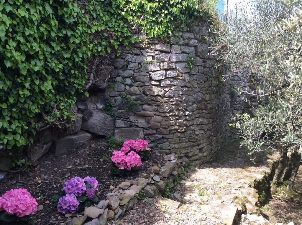 Casa Vacanze Ada Fiesole Exterior photo